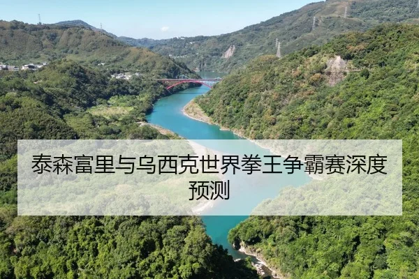 泰森富里与乌西克世界拳王争霸赛深度预测